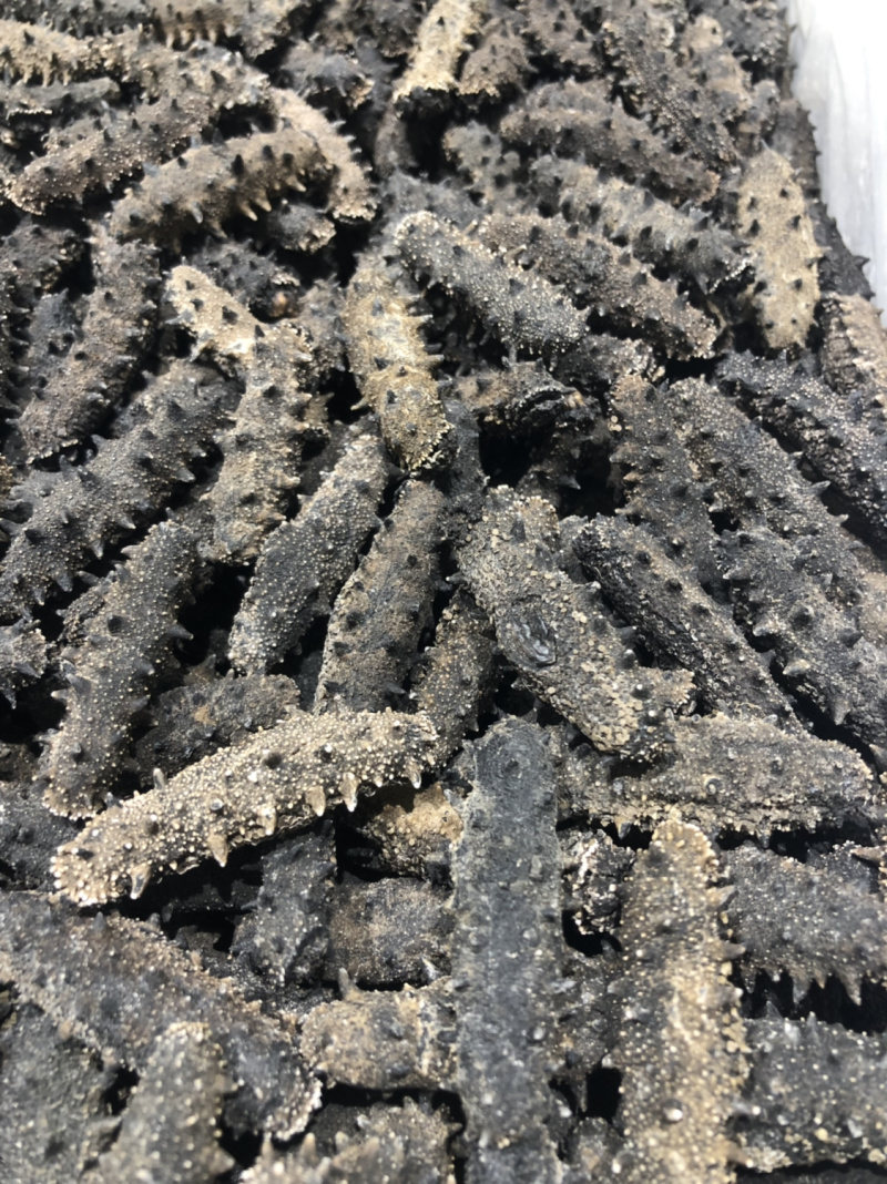 山东海参干海参一手货源，品质保证，量大价优。无任何添加，
