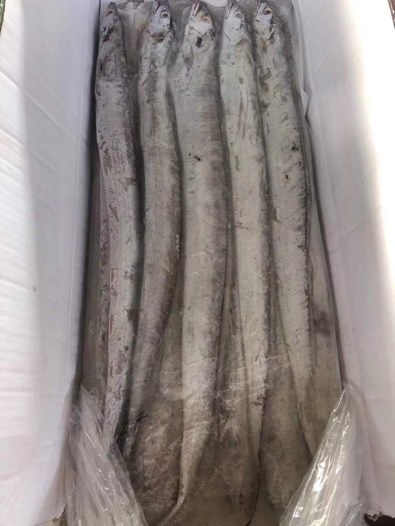 皮毛好价格便宜的刀鱼看这里