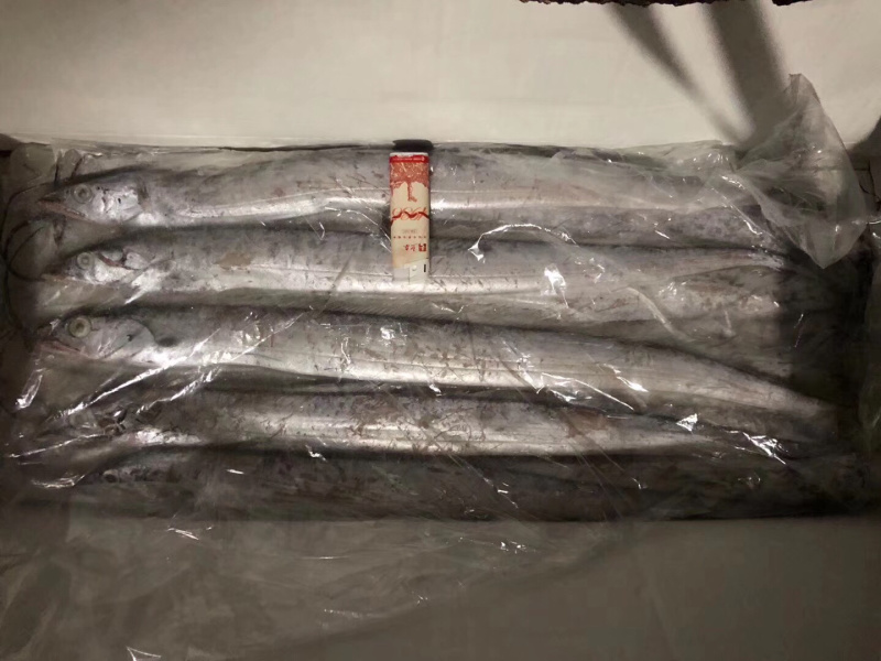 皮毛好价格便宜的刀鱼看这里