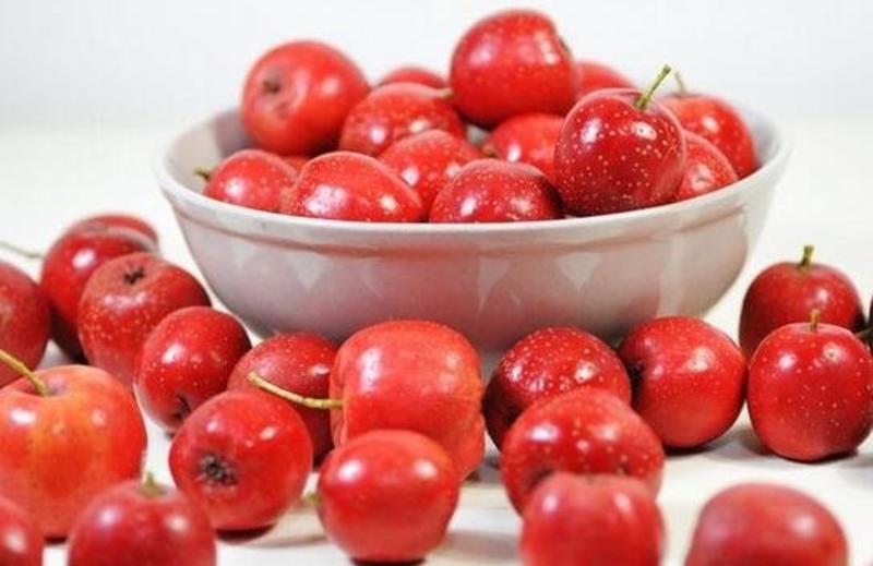 鲜果甜红子山楂色泽光亮甜口产地一手货源