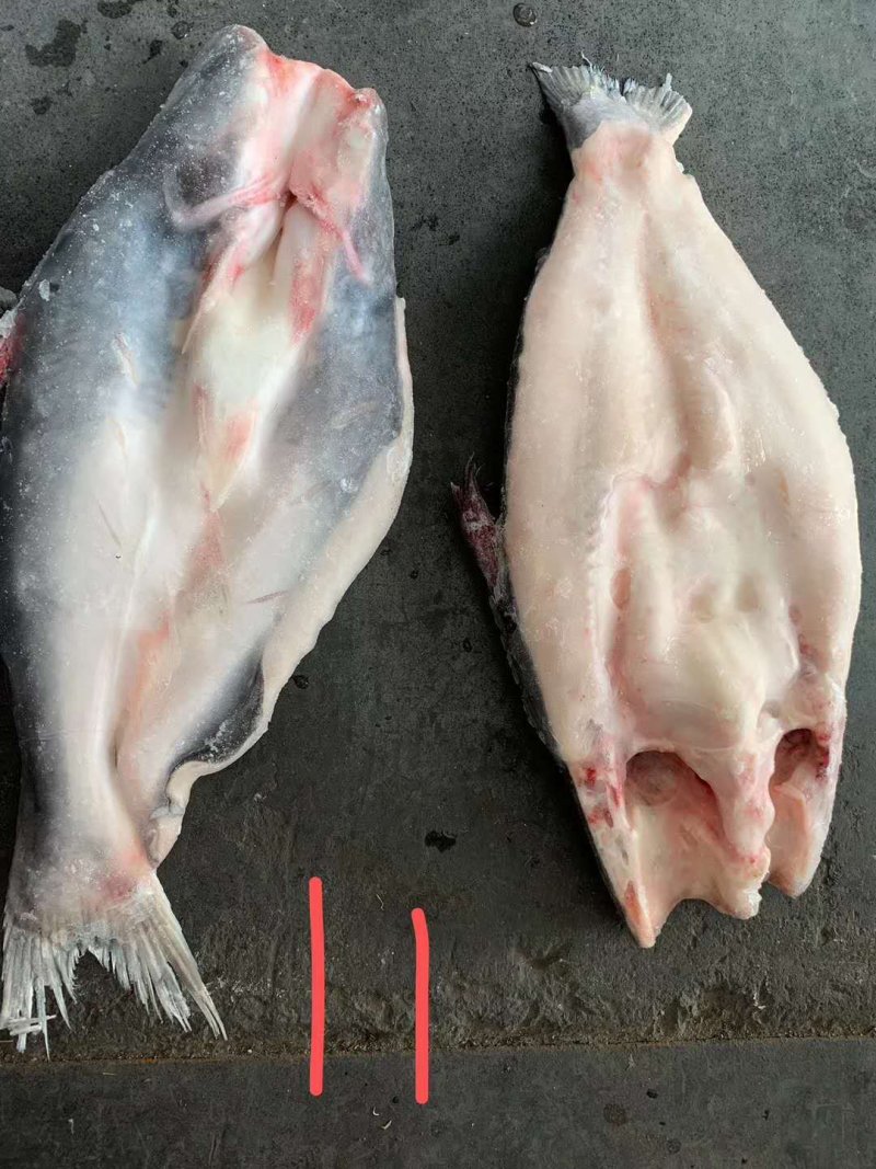 巴沙鱼开背