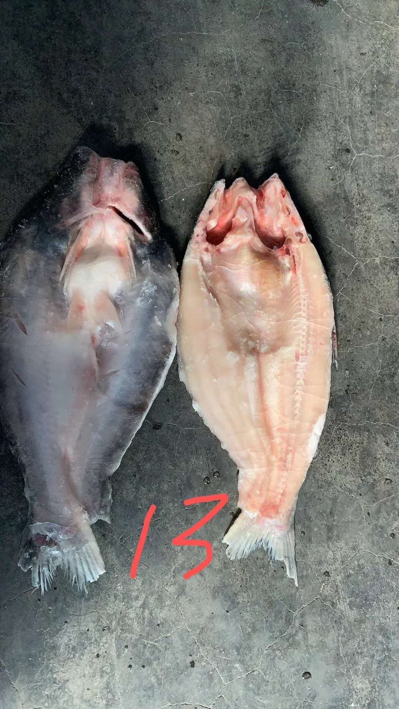 巴沙鱼开背