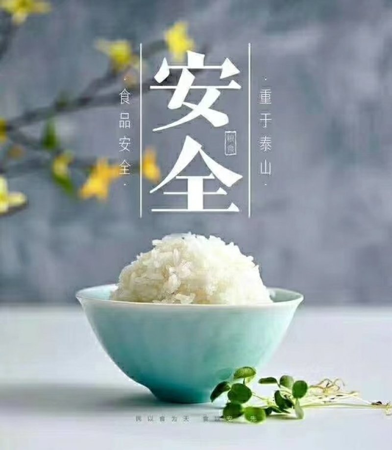 东北小粒香胚芽米，稻花香。