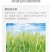 内蒙古武川燕麦米胚芽燕麦米