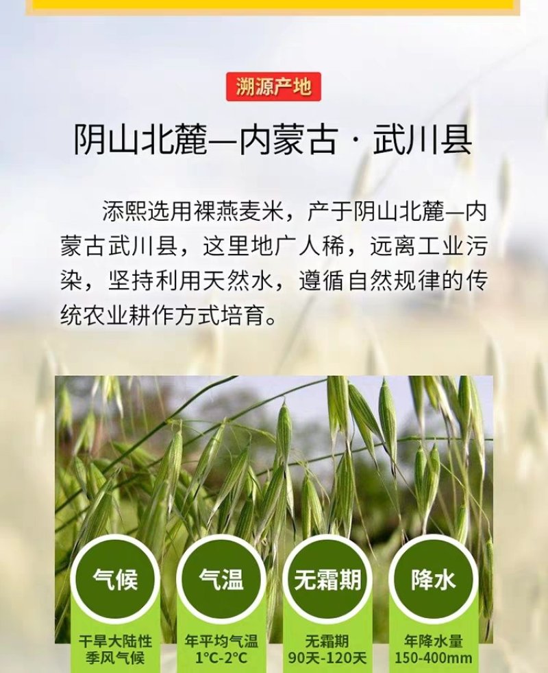 内蒙古武川燕麦米胚芽燕麦米