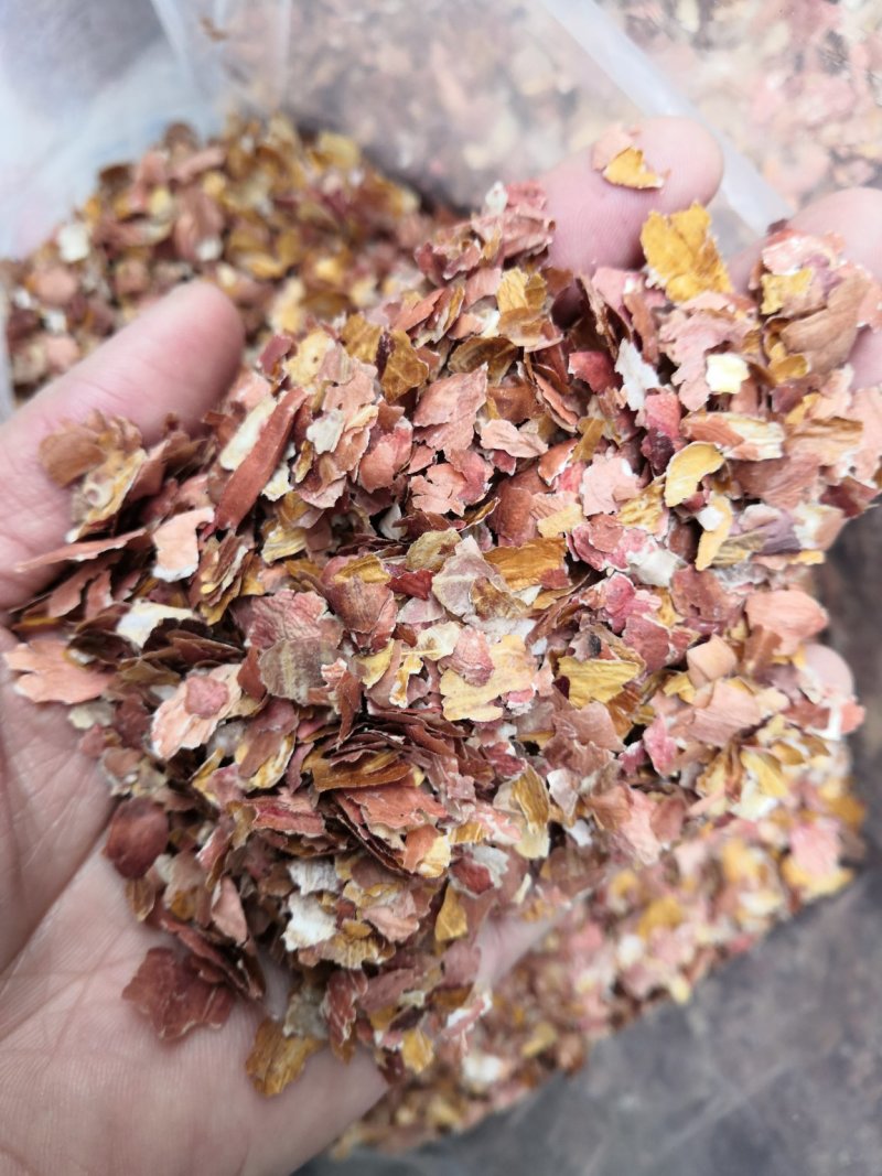 红皮无硫花生衣无硫花生衣新货手工剥皮