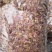 红皮无硫花生衣无硫花生衣新货手工剥皮