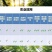 矿源黄腐酸钾全水溶调酸碱促生根抗病抗逆抗涝抗旱抗寒抗重茬