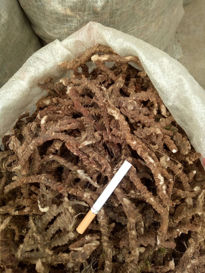 野生石昌蒲生长在贵州海拔800米的天然小河沟里，无污染，