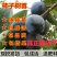 黑柿苗，脆甜，摘下就可以吃，品质保证，免费后期指导