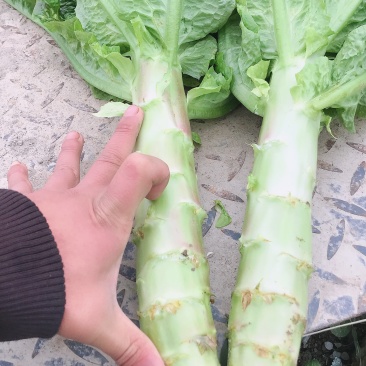**窝笋！！所以值得信赖
