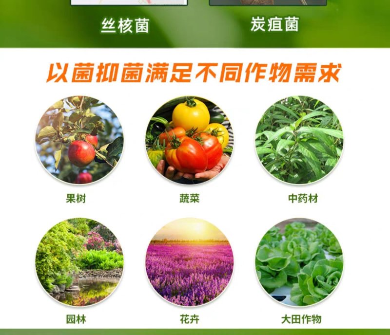 20亿哈茨木霉菌1000克生根抑制土传病害