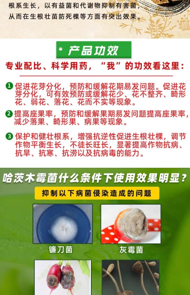 20亿哈茨木霉菌1000克生根抑制土传病害