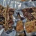 煲汤料。炖鸡料，灵芝片，鹿茸片，鹿鞭片，小白参