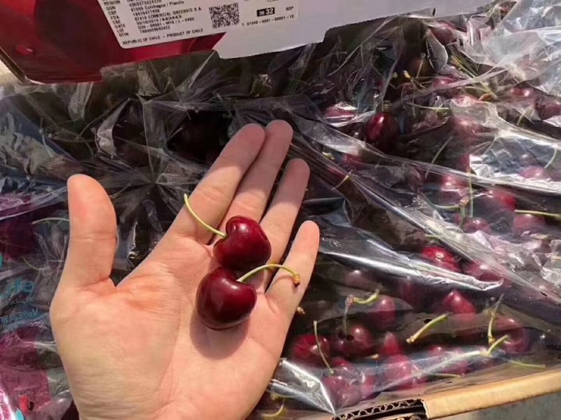 活动来一波智利空运车厘子，，，，，，，，，