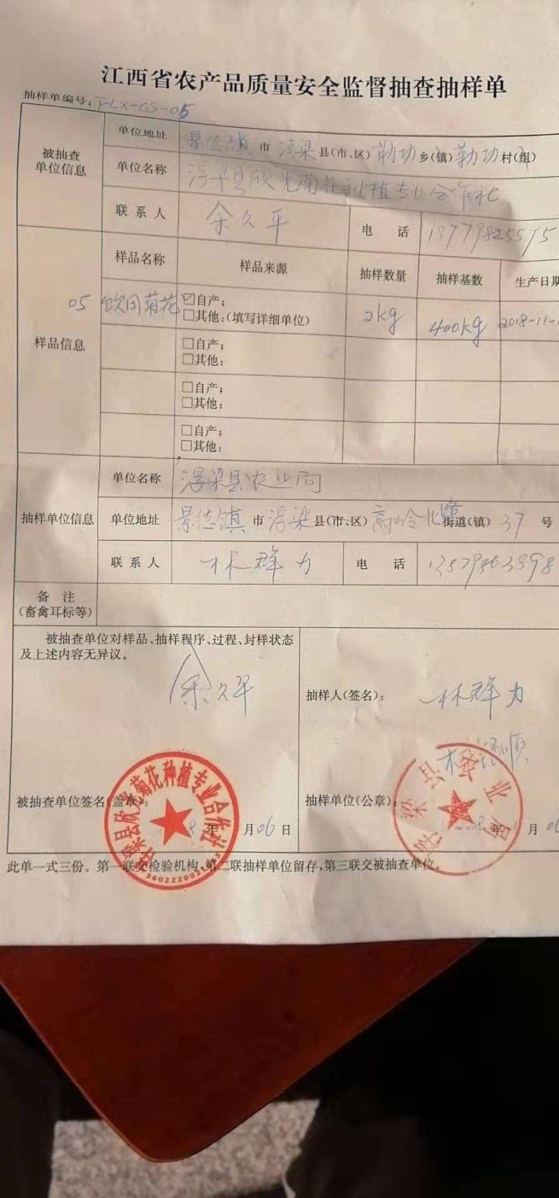 金丝皇菊茶一级