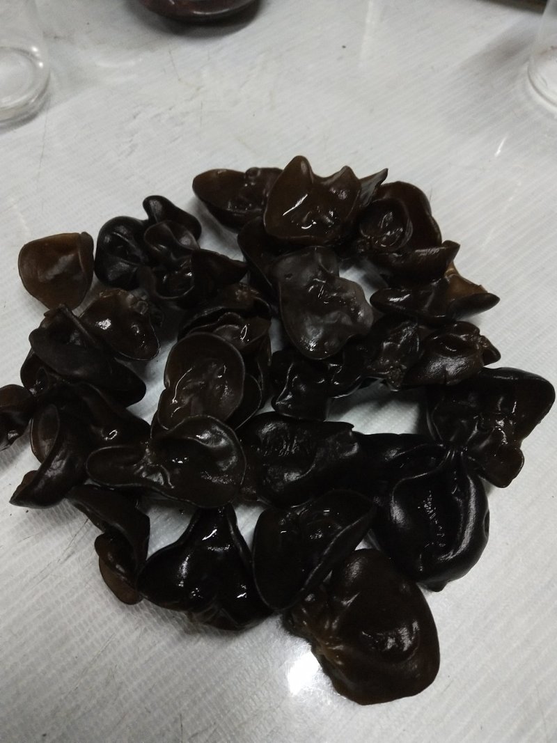 精品黑山老鼠耳老鼠耳老鼠耳老鼠耳1.0