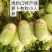 绿萝卜