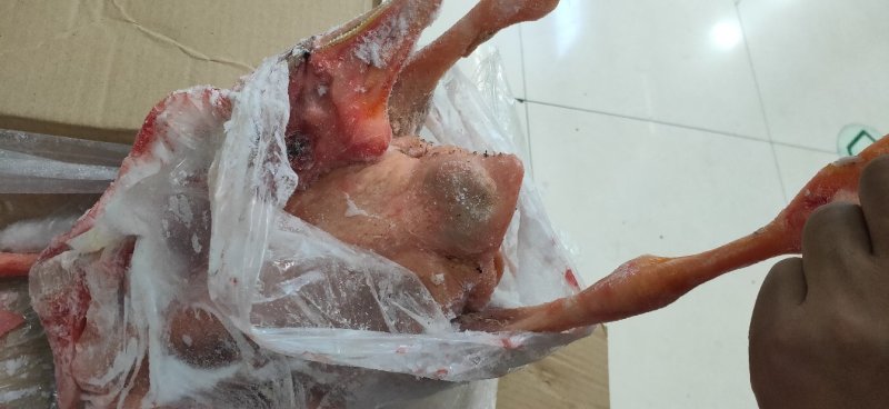 熟食店酒店铁锅炖大鹅