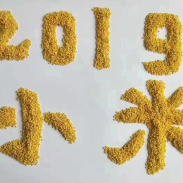 吉林省通榆县弱碱性小米