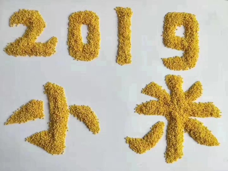 吉林省通榆县弱碱性小米