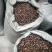 油茶籽小籽，山茶籽，野生山茶子鲜货干货批发