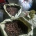油茶籽小籽，山茶籽，野生山茶子鲜货干货批发