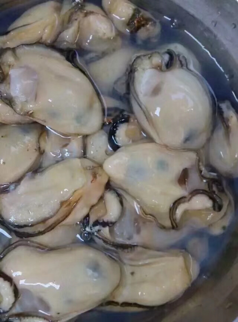 湛江官渡生蚝（烧烤生蚝，火锅专用生蚝）