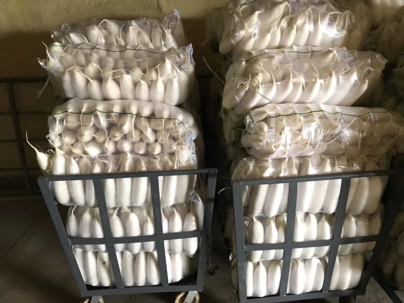 白萝卜，精品货出口贸易，电商，商超市场货都有