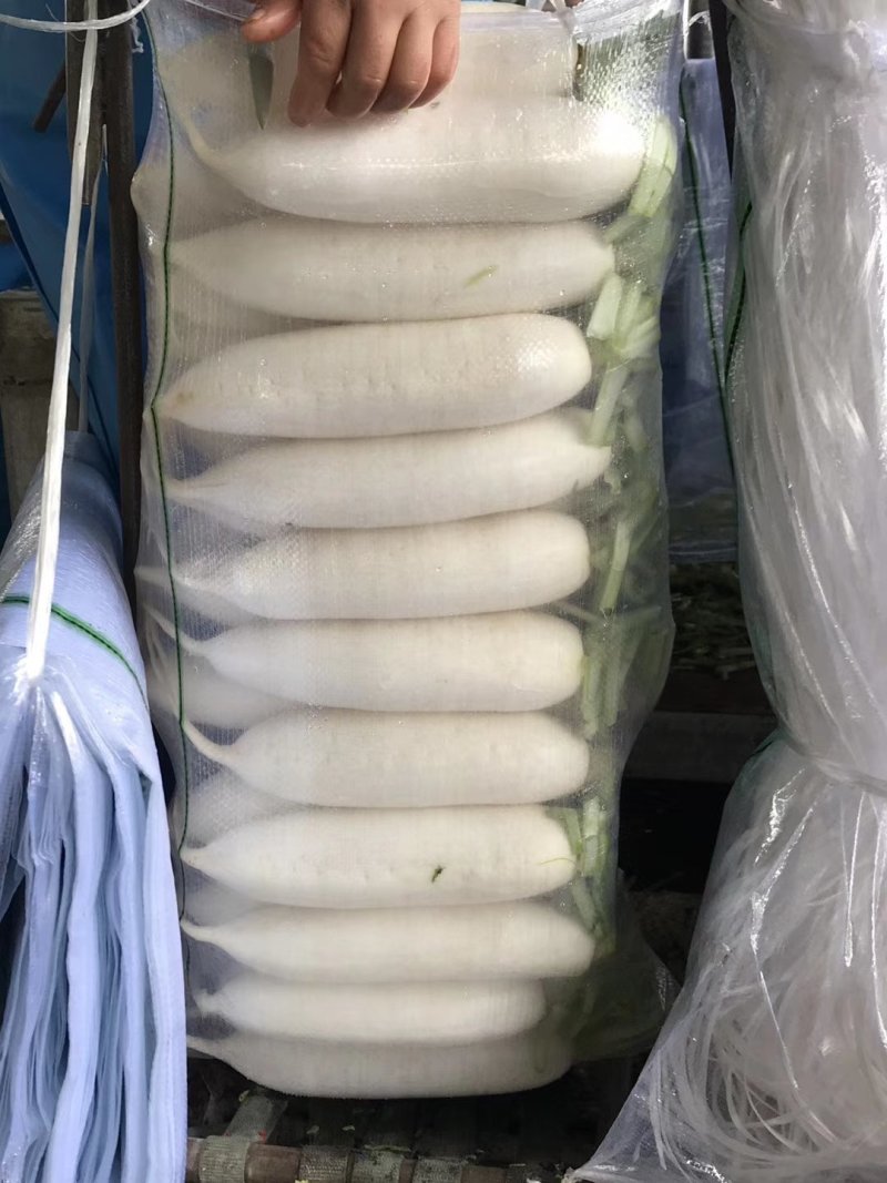 白萝卜，精品货出口贸易，电商，商超市场货都有