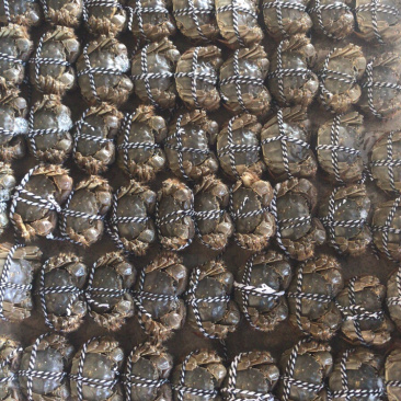兴化大闸蟹，质量放心，价格优惠。
