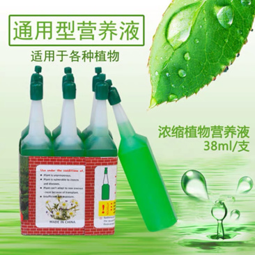 厂家批发营养液通用水培盆栽果树植物营养好
