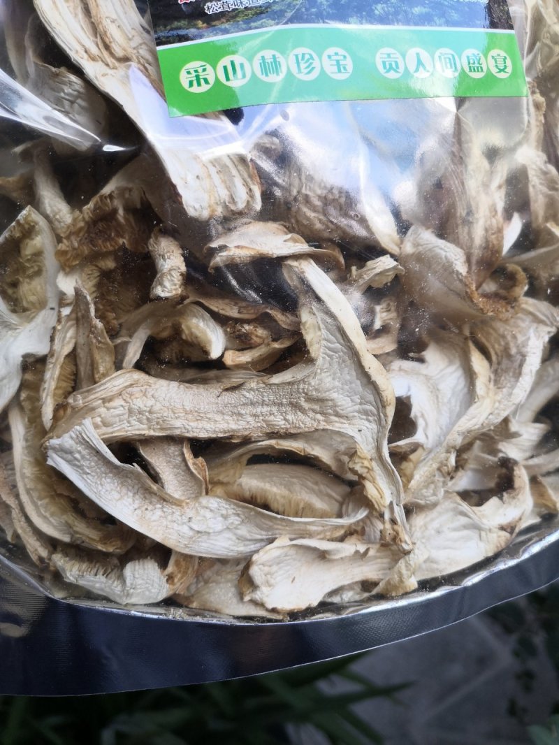 香格里拉松茸干片袋装一件代发批发包邮