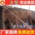 湘西黄牛包技术包回收让您养牛无忧