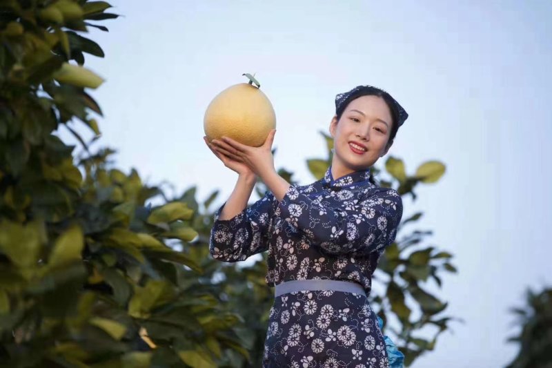 江西广丰马家柚