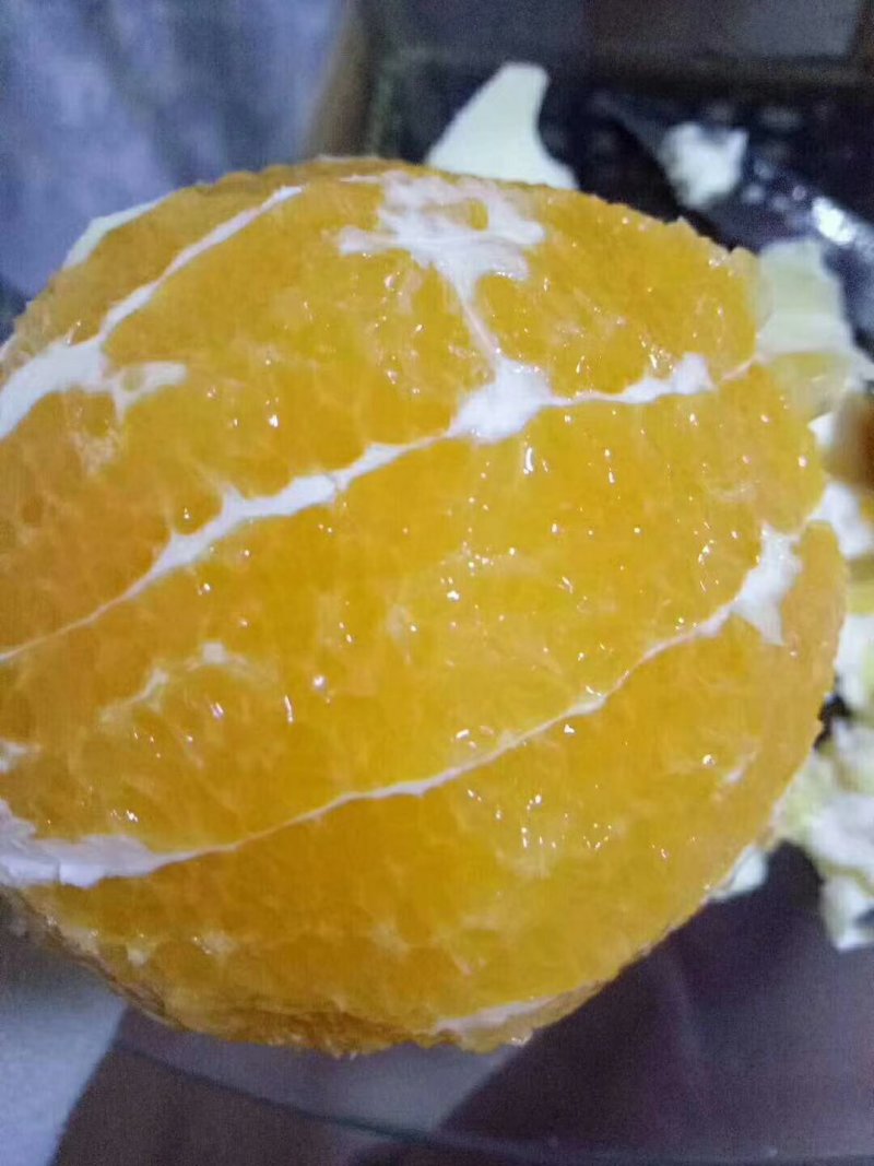 赣南脐橙
