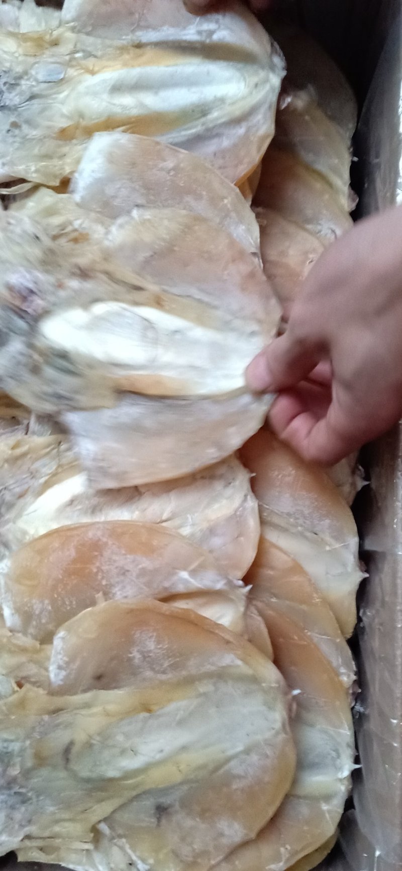 墨鱼干干度九成，微咸的