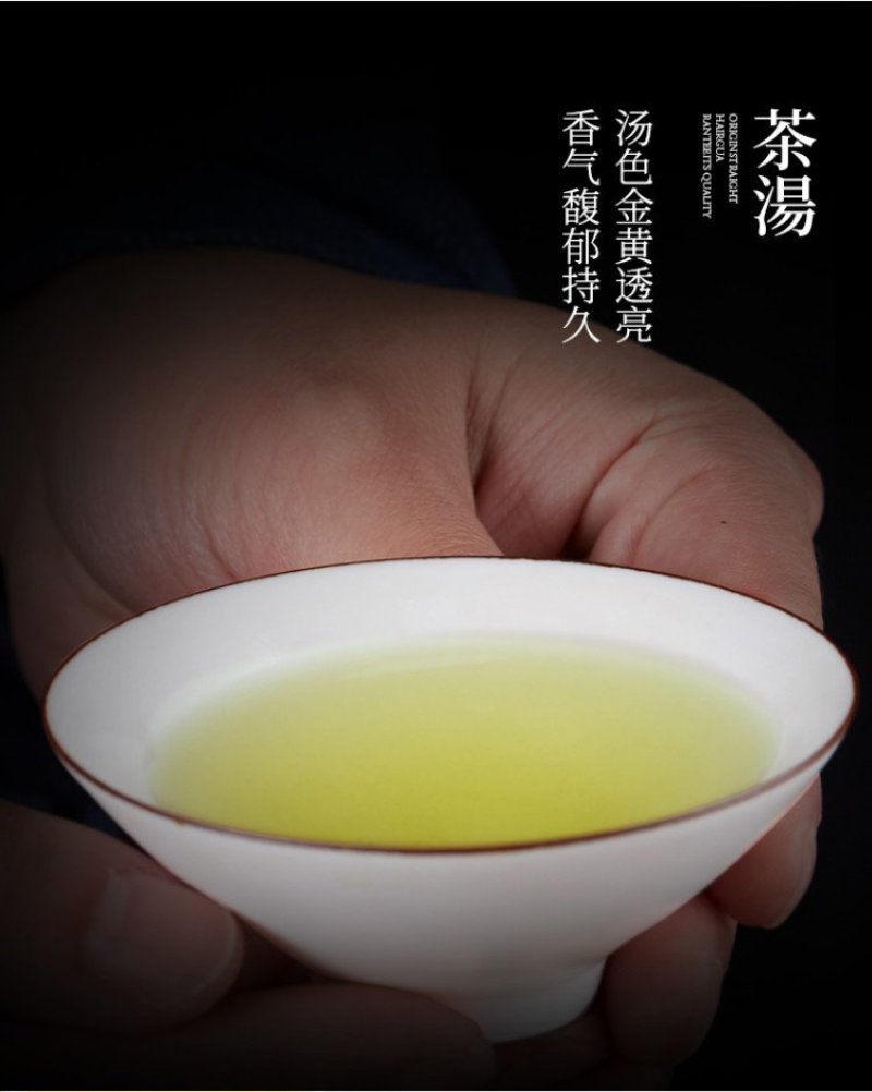铁观音茶叶浓香型新茶安溪乌龙茶礼盒共500克一件代发