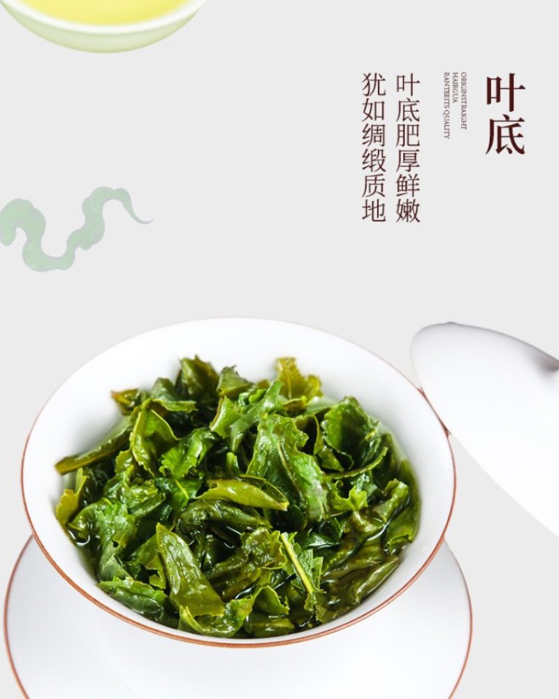 铁观音茶叶浓香型新茶安溪乌龙茶礼盒共500克一件代发