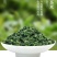 铁观音茶叶浓香型新茶安溪乌龙茶礼盒共500克一件代发