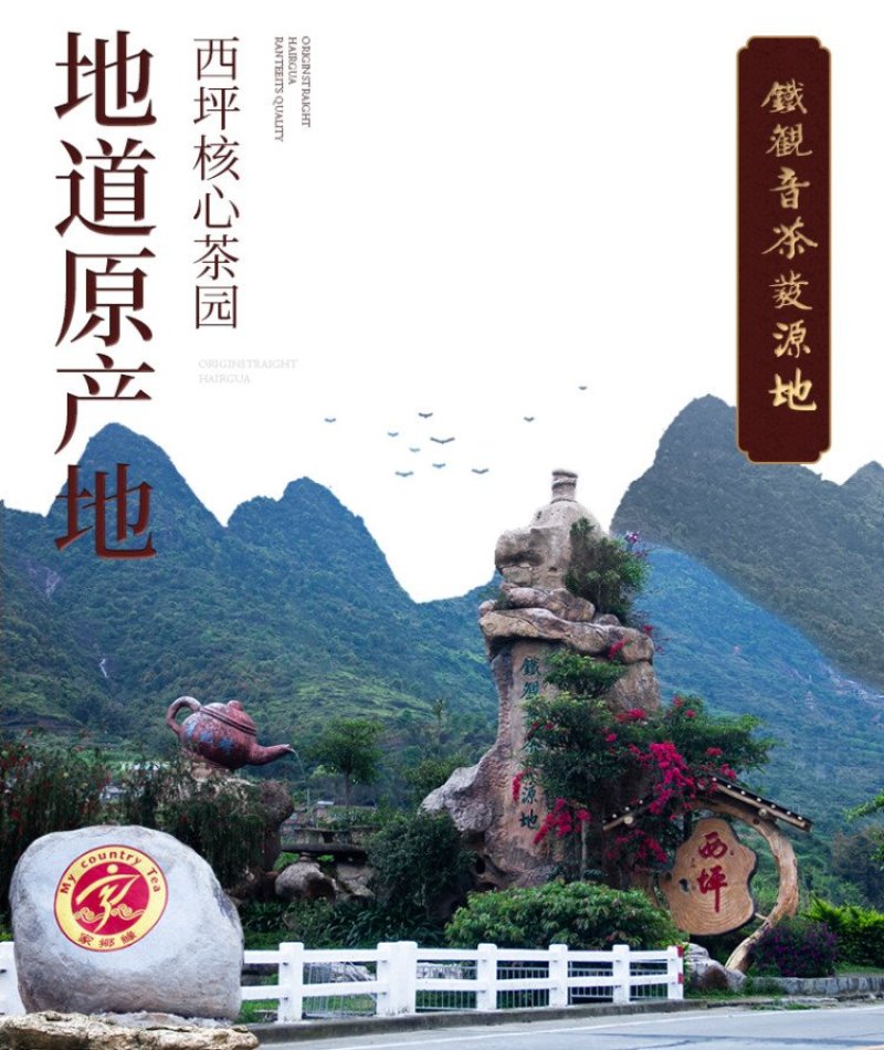 铁观音茶叶浓香型新茶安溪乌龙茶礼盒共500克一件代发