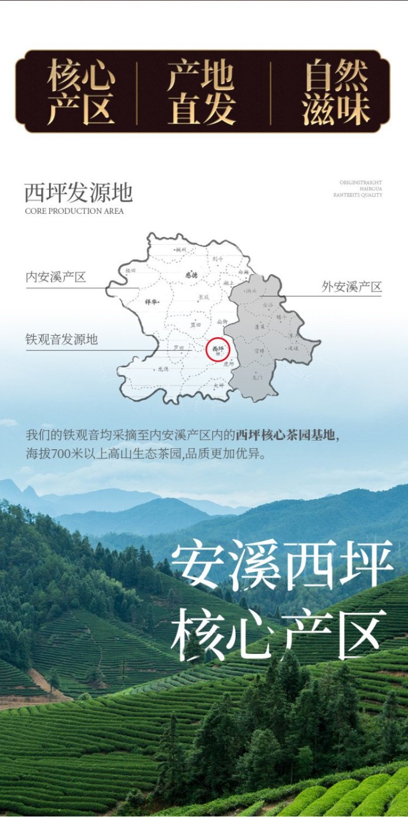 铁观音茶叶浓香型新茶安溪乌龙茶礼盒共500克一件代发