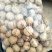 云南大理精品103果纸皮核桃包邮