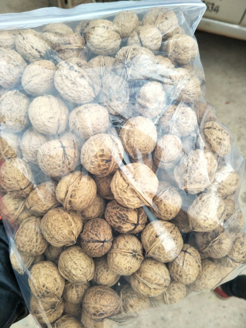 云南大理精品103果纸皮核桃包邮