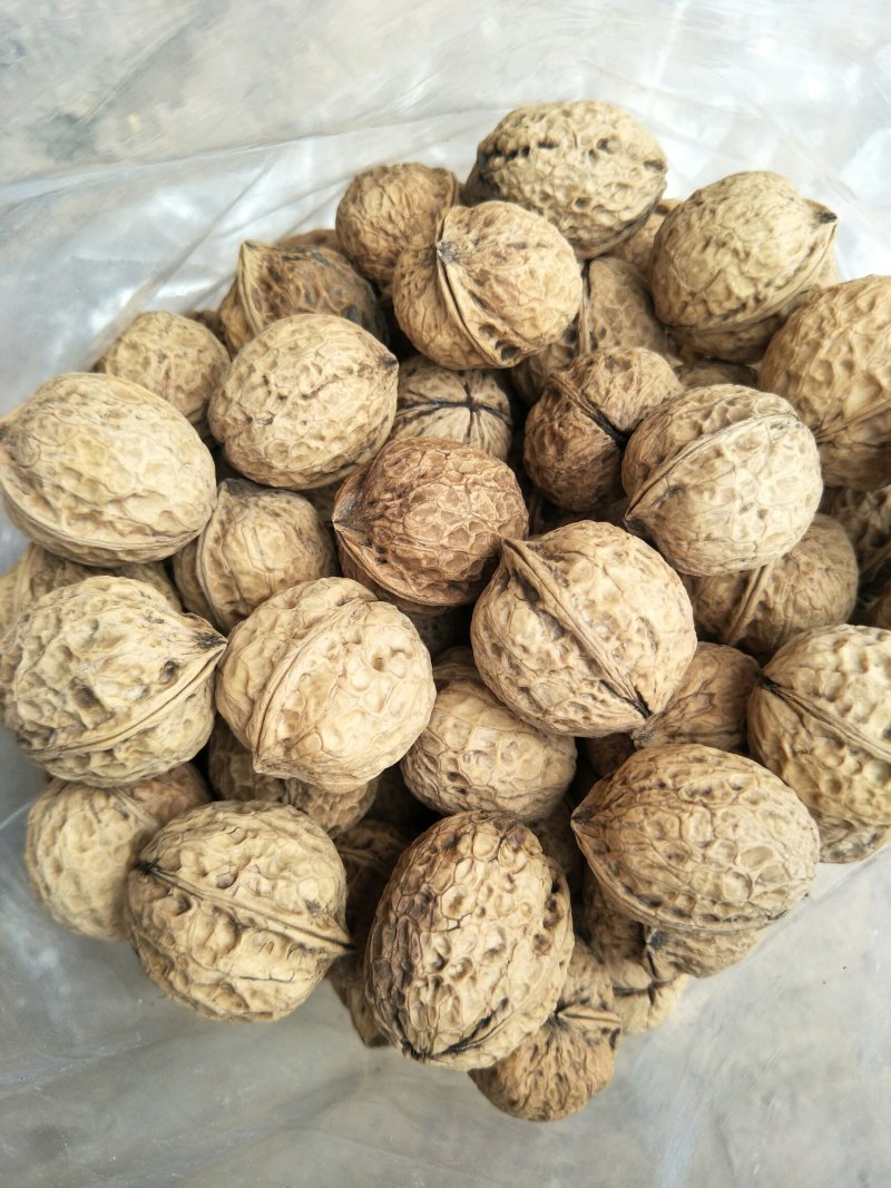云南大理精品103果纸皮核桃包邮