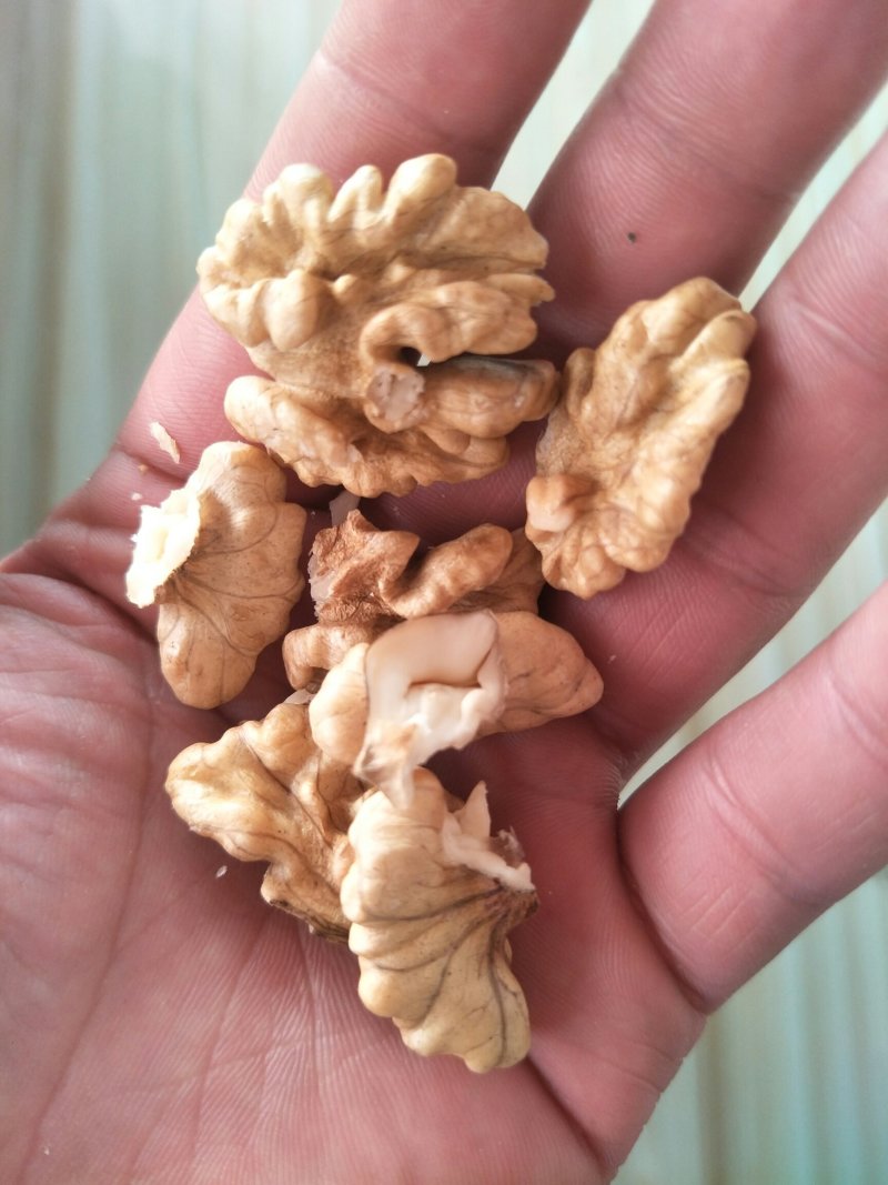云南大理精品103果纸皮核桃包邮