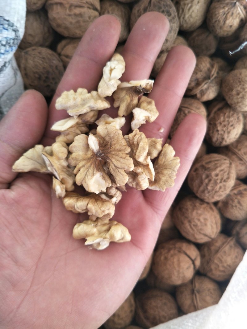 云南大理精品103果纸皮核桃包邮