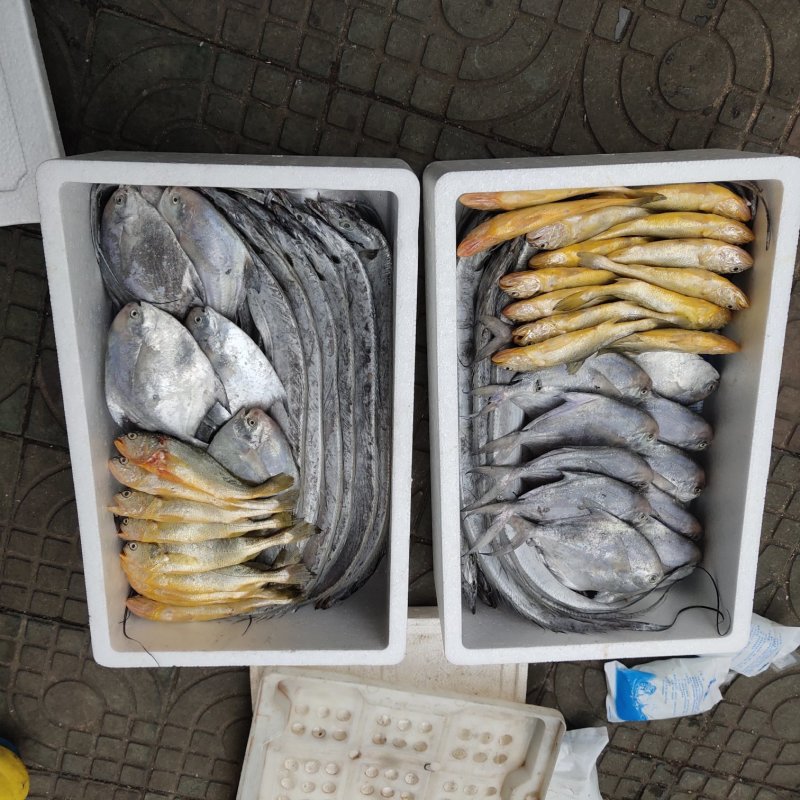 海鲜水产
