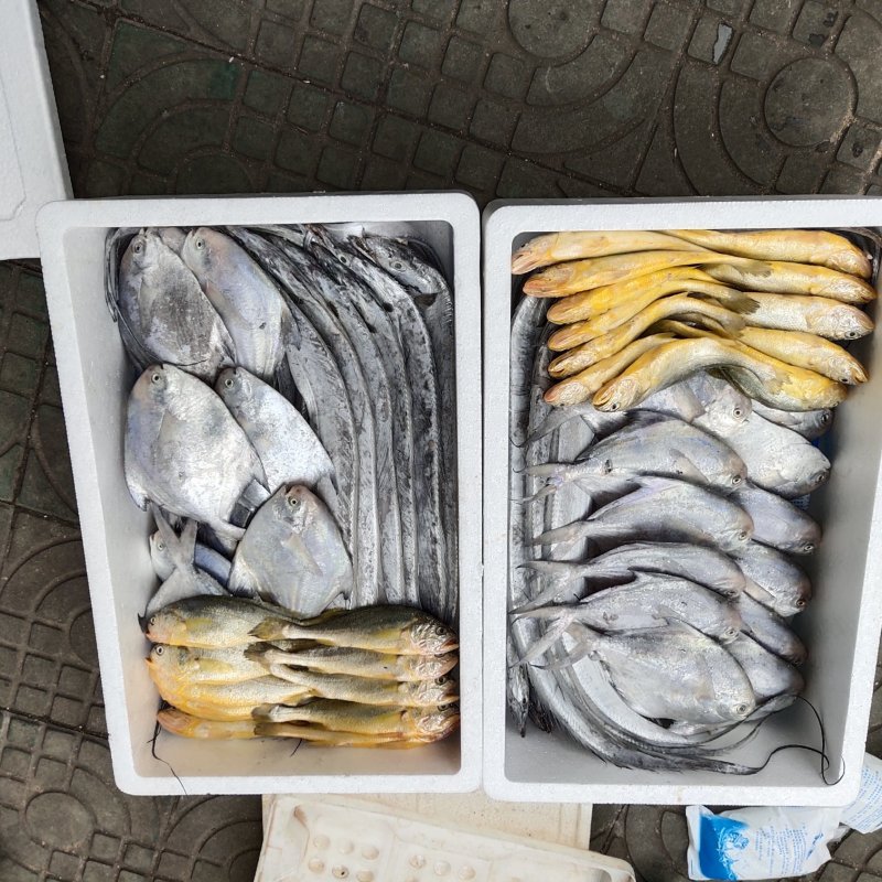 海鲜水产