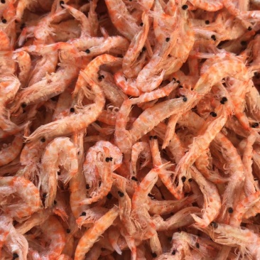 红磷虾皮即食虾皮虾皮干海鲜干货
